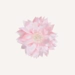 Occasion Hair Clip - Image 10
