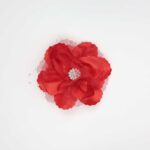 Occasion Hair Clip