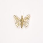 Occasion Hair Clip