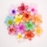 Hair Claw Clip