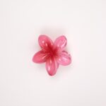 Hair Claw Clip - Image 4
