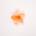 Hair Claw Clip - Image 7