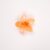 Light Orange