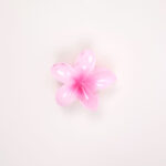 Hair Claw Clip - Image 8