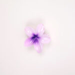 Hair Claw Clip - Image 9