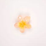 Hair Claw Clip - Image 10
