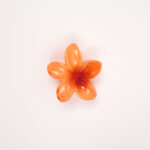 Hair Claw Clip - Image 11