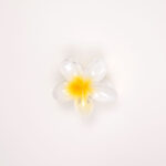 Hair Claw Clip - Image 14