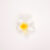 White & Yellow