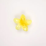Hair Claw Clip - Image 15
