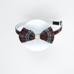 School Hairband