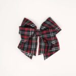 School Hair Clips
