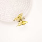 Butterfly Shaped Hair Clip